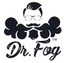 Dr Fog